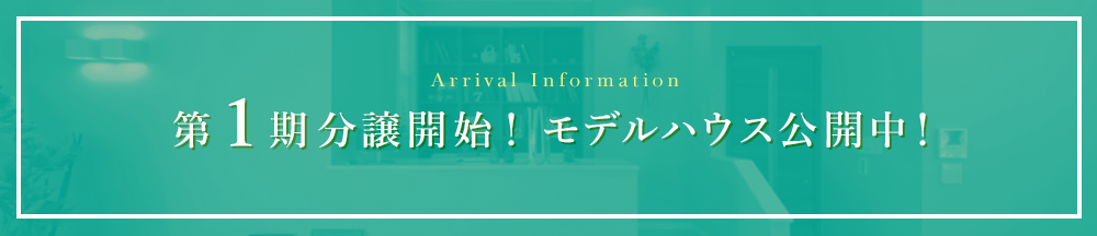 ArrivalInformation